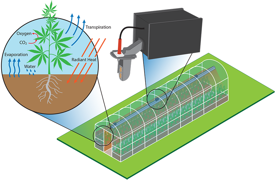 Infrared Heater Greenhouse Model